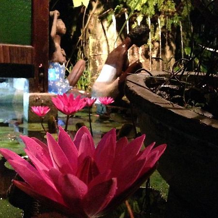 The Lotus Garden Bed & Breakfast Puerto Princesa Exterior photo
