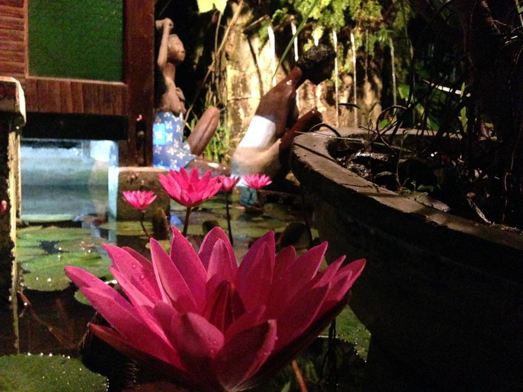 The Lotus Garden Bed & Breakfast Puerto Princesa Exterior photo
