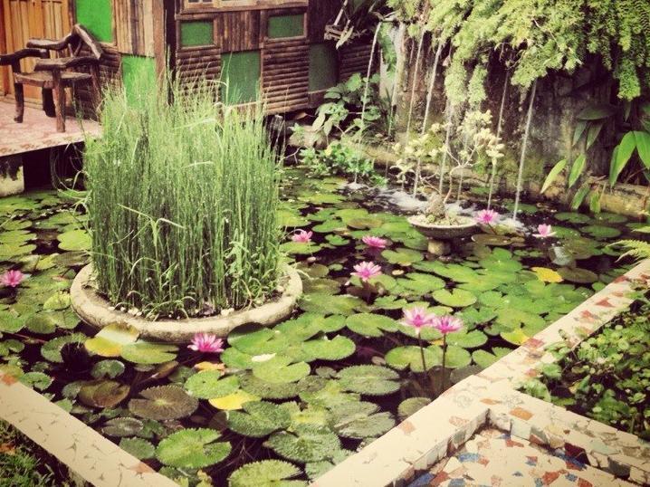 The Lotus Garden Bed & Breakfast Puerto Princesa Exterior photo